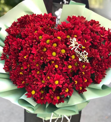 Красное с любовью хризантема