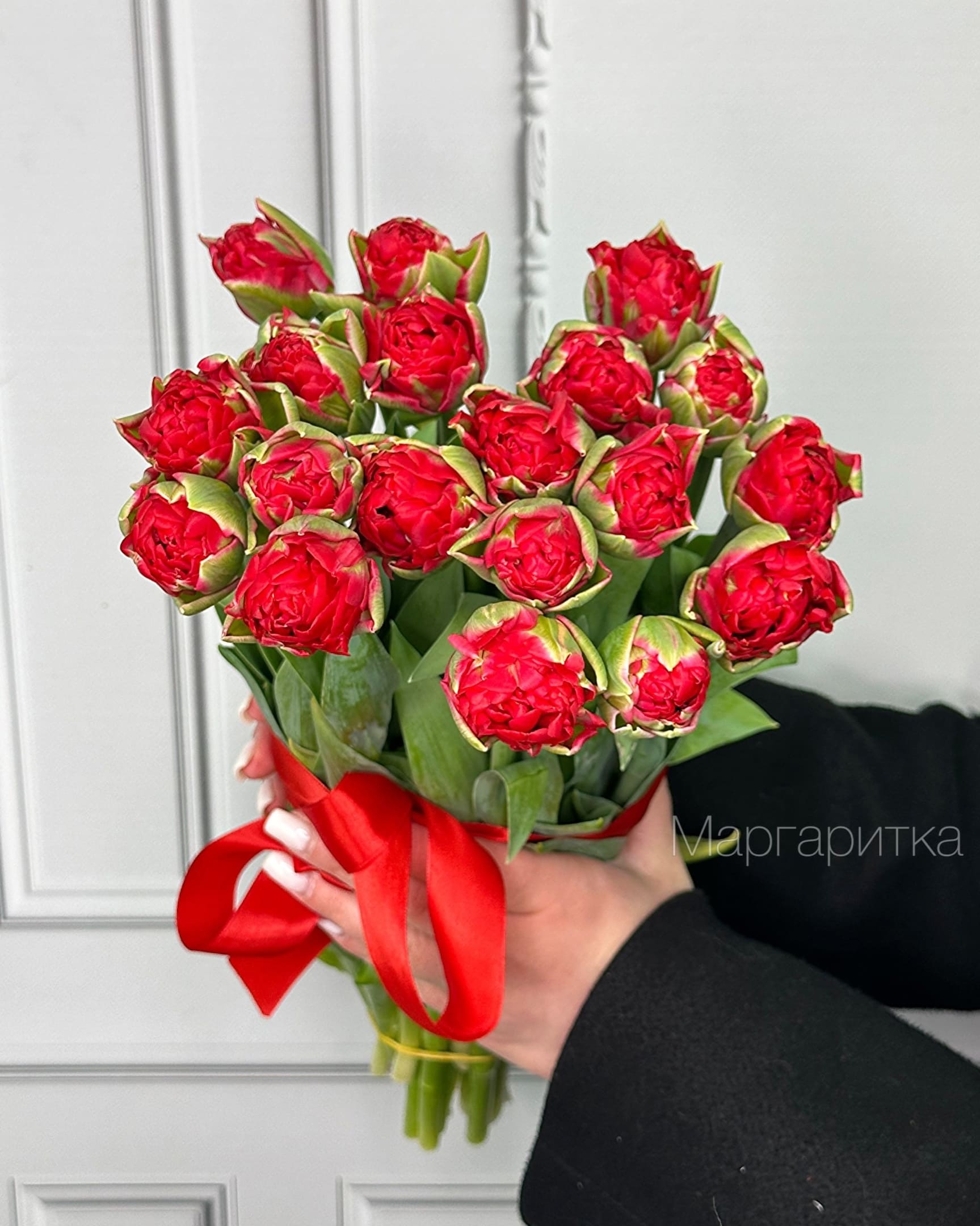 Красные пио 19