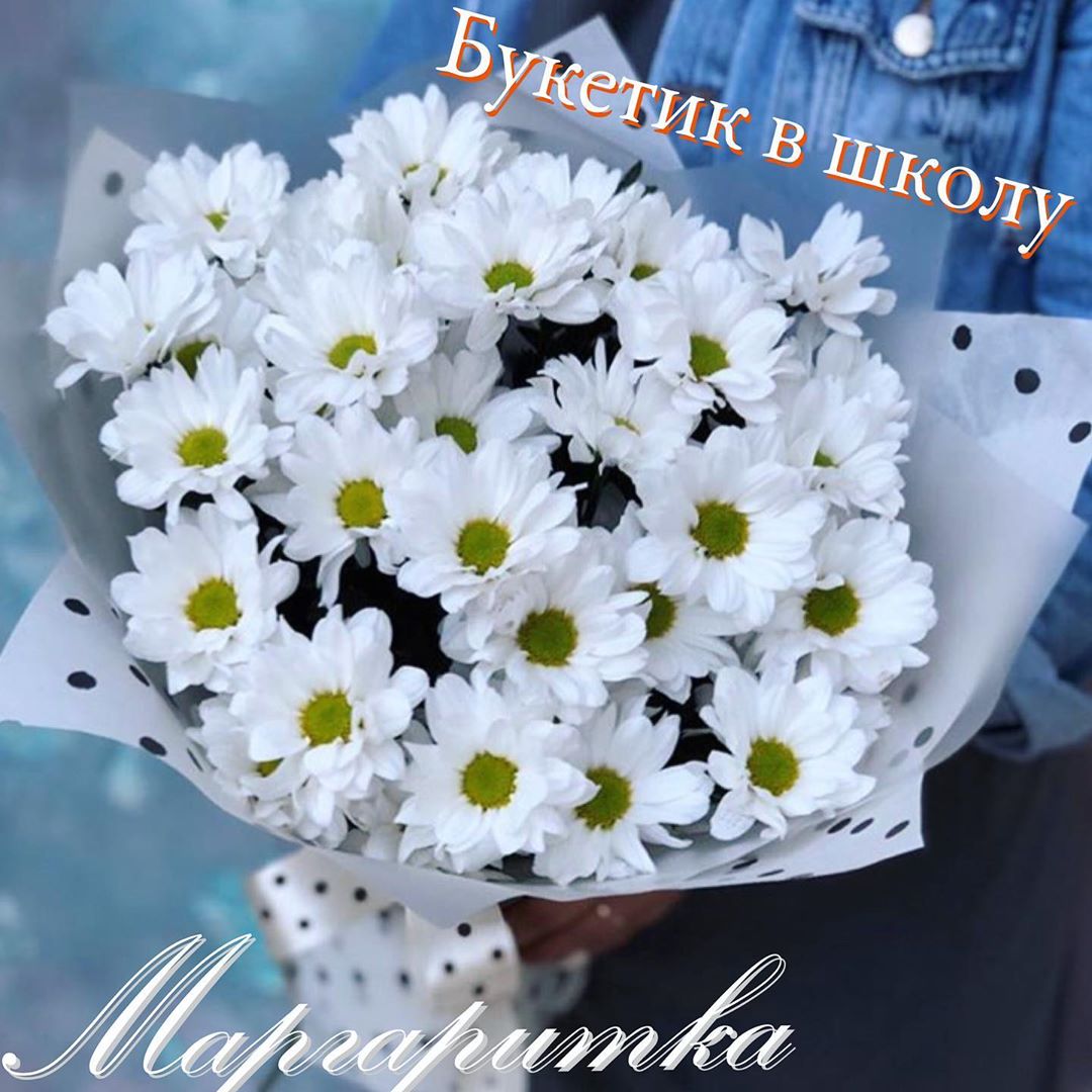Радость осеннего дня