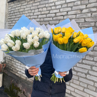 Солнечный свет — лучшее лекарство 27