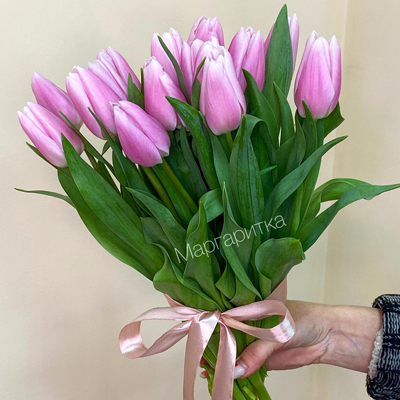 Розовый тюльпан 15шт