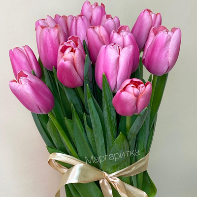 Розовенький тюльпан 15шт