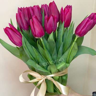 Малиновый тюльпан 15шт