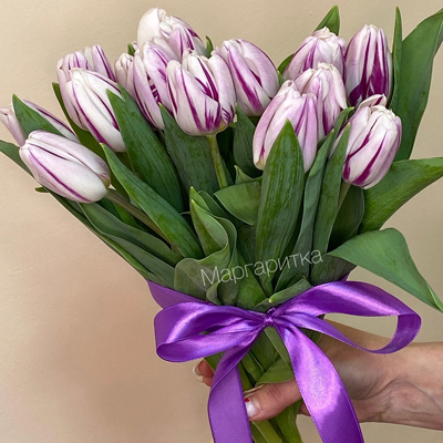 Сиренево-белый 15шт