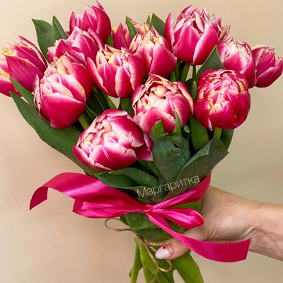 Малиново- розовый пионовидный 15шт