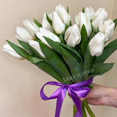Белый тюльпан 15шт