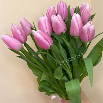 Тюльпан розовый 15шт