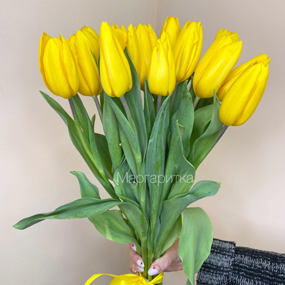 Тюльпан желтый 15шт