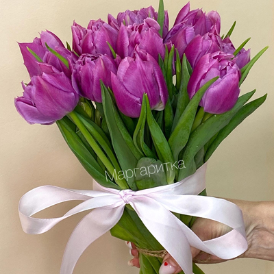 Темно - сиреневый тюльпан пионовидный 15