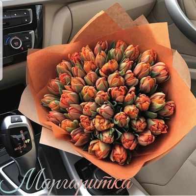 Облако желаний 37 тюльпанов 