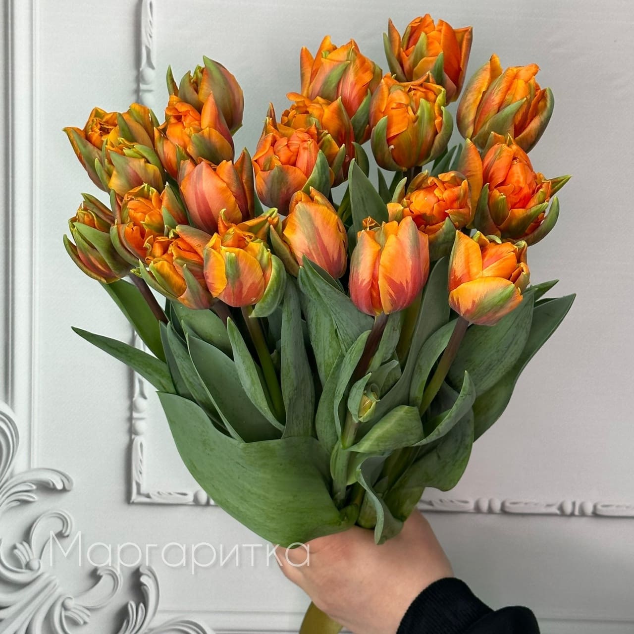 Оранж принцесс 19