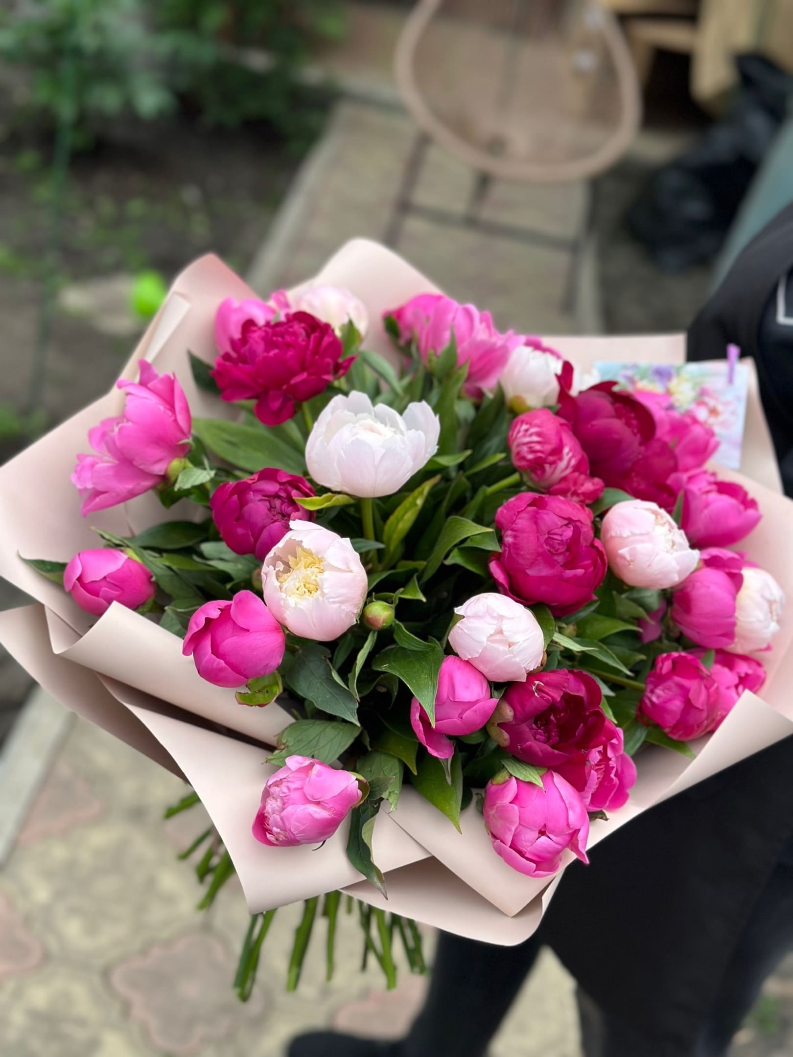 31 пион