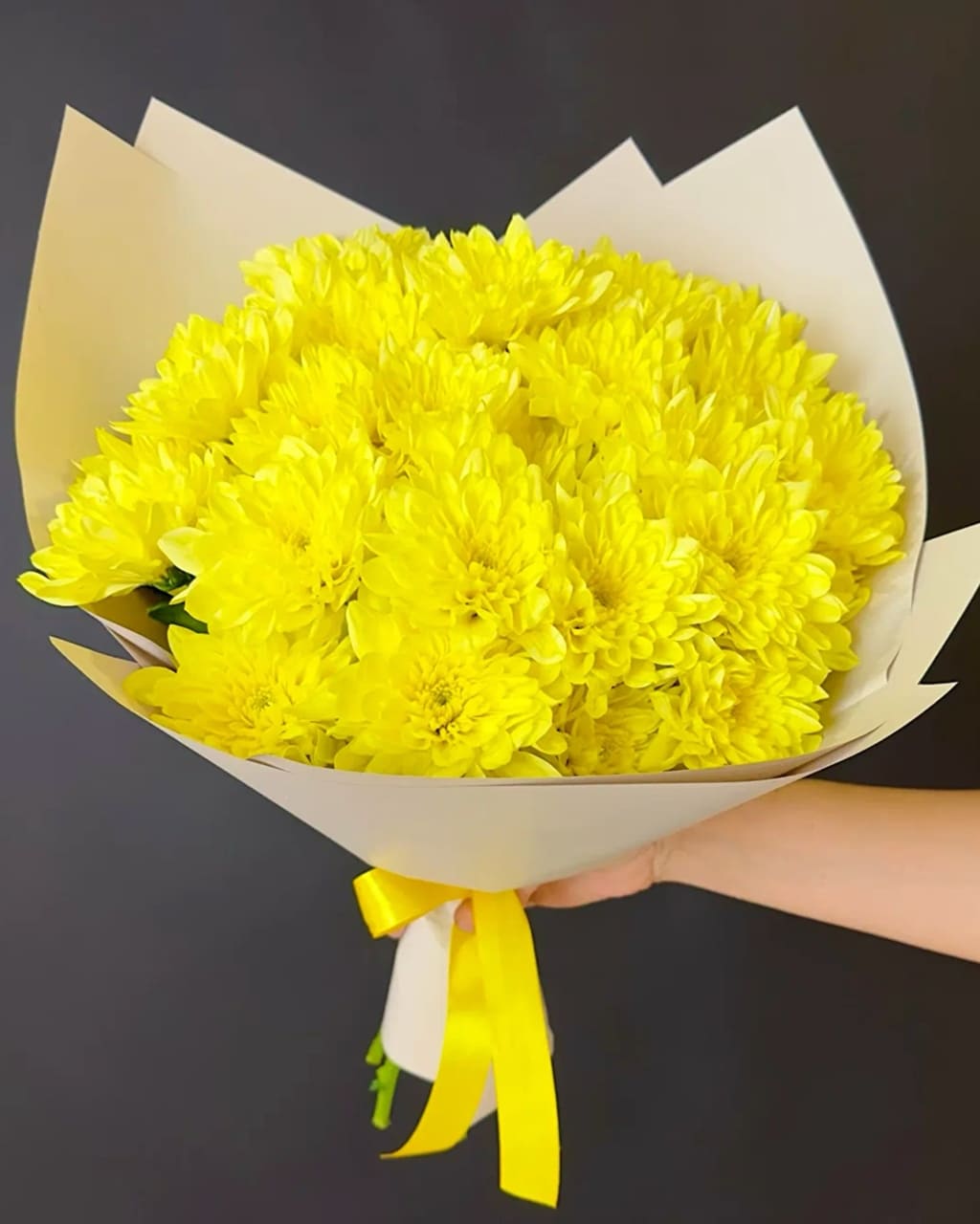 Солнечные зайчики