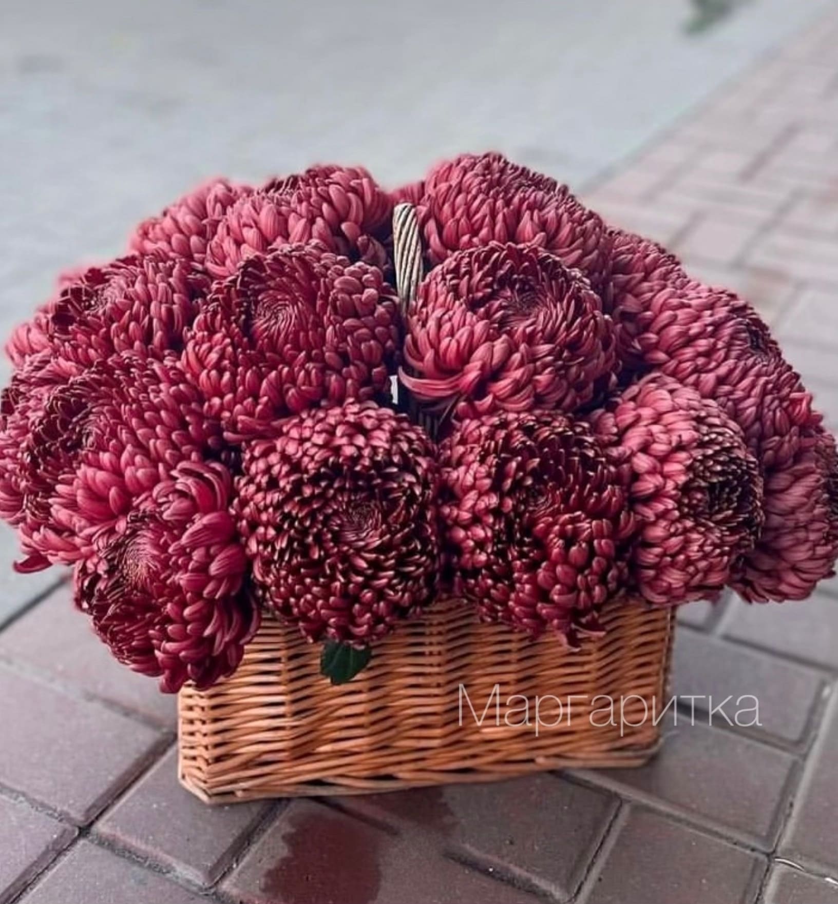 Колоритные сюжеты