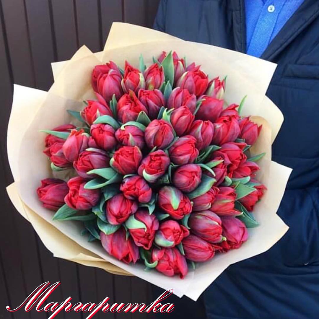 Костер чувств красные35