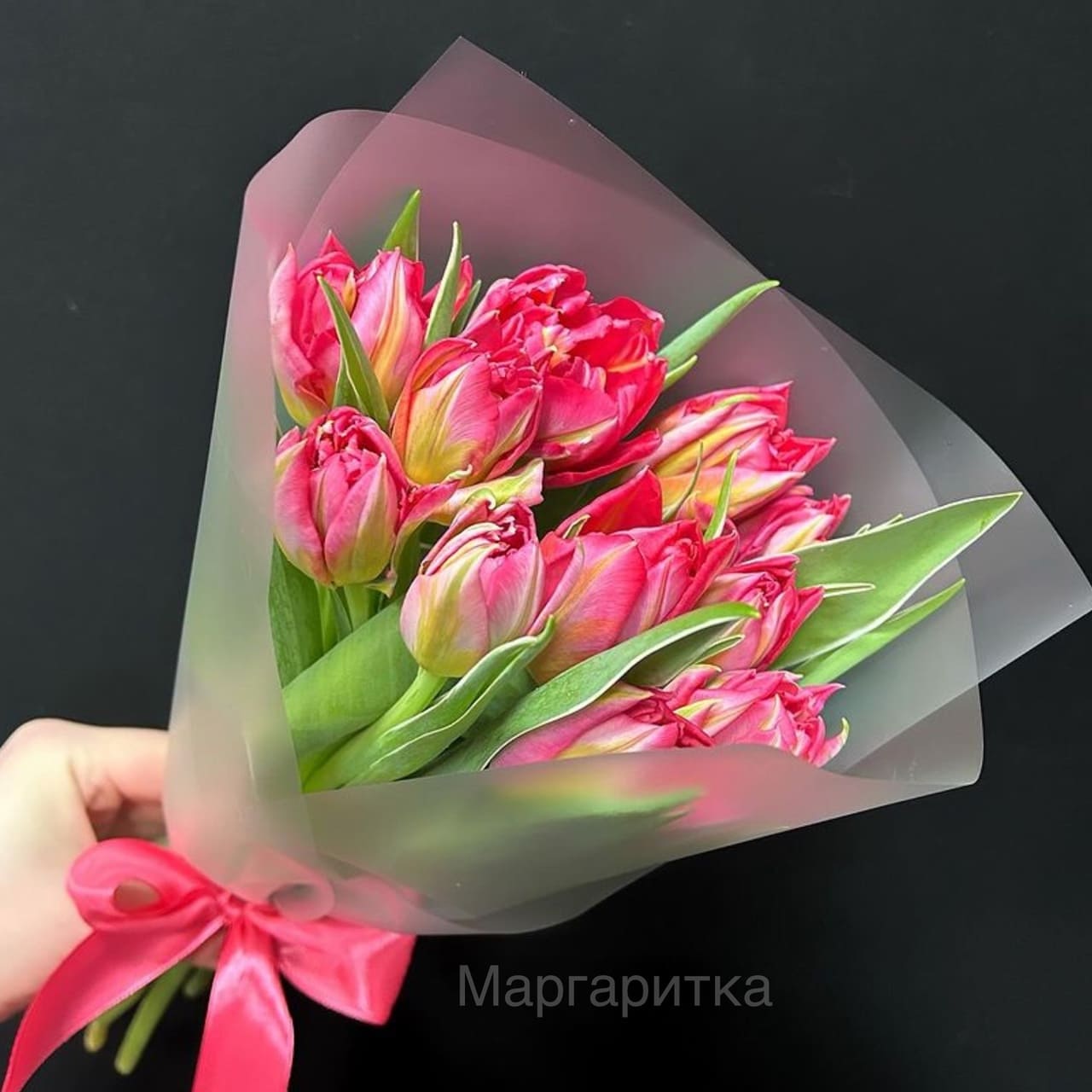 Пикник в Парке